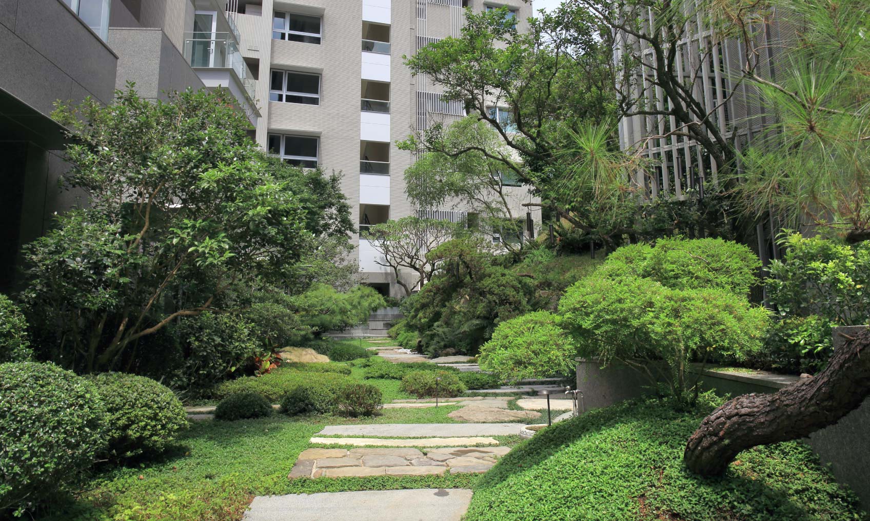 璞山水澗景觀實景